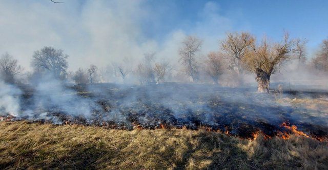 В Новой Каховкой горели плавни
