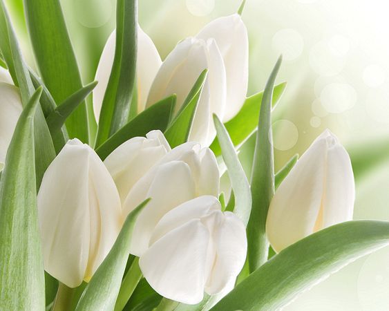день ангела 22 апреля