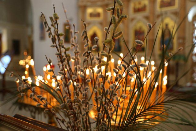 Молитва на Вербное воскресенье: что можно просить у Бога и как освятить вербу