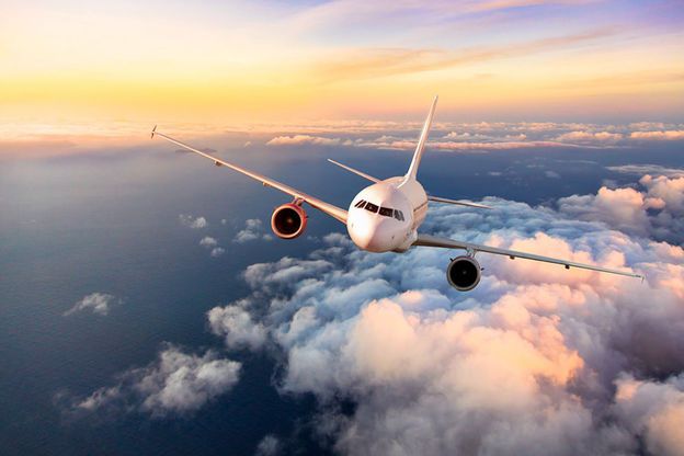 Bees Airline полетит из Херсона в Тбилиси и Анталию
