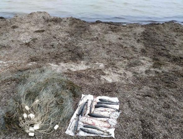На Херсонщине пограничники обнаружили браконьера