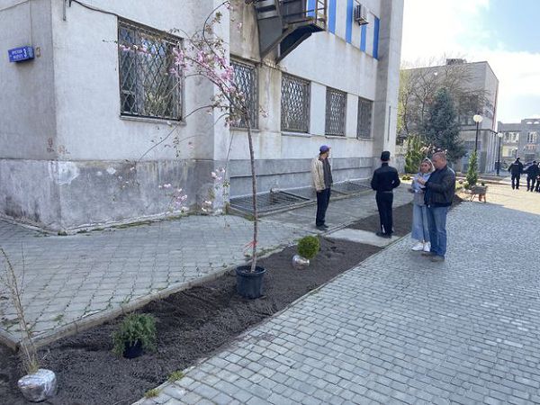 Вокруг горсовета высаживают растения