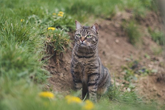 день ангела 13 апреля