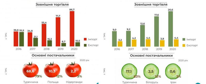 Импортные помидоры и огурцы: поставки из-за границы выросли в два раза