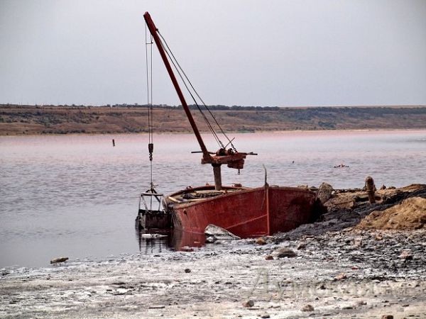 Прокуратура требует взыскать более 4,6 млн  грн убытков с предприятия за нарушение природоохранного законодательства