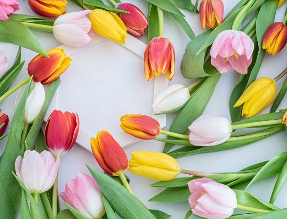 27 мая: какой праздник, приметы, именинники дня и что нельзя делать