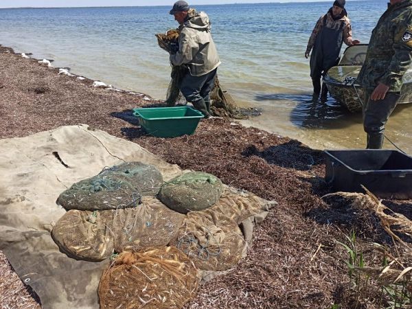 Нанес государству ущерб на четверть миллиона: Водные полицейские Херсонщины разоблачили браконьера