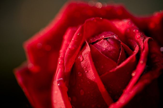 церковный праздник сегодня 10 мая