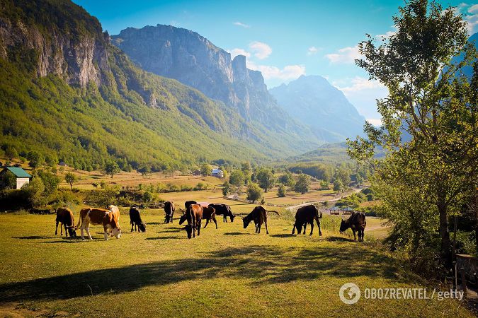 Для поездки в Албанию не нужен ПЦР-тест.