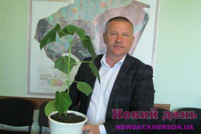 У Генической ОТО может появиться свой ботанический символ