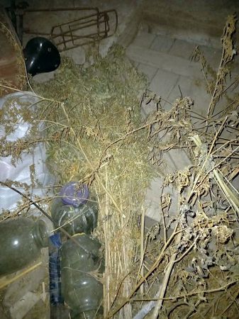 В Скадовске полицейские во время выезда на вызов о домашнем насилии изъяли 1 килограмм марихуаны