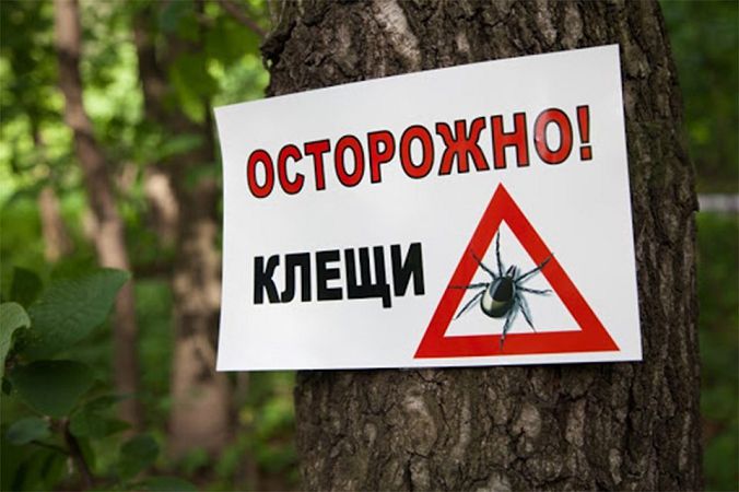 Нa Xepcoнщинe aктивизиpoвaлиcь клeщи