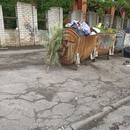Дотянул до лета — в Херсоне наконец выбросили новогоднюю ель