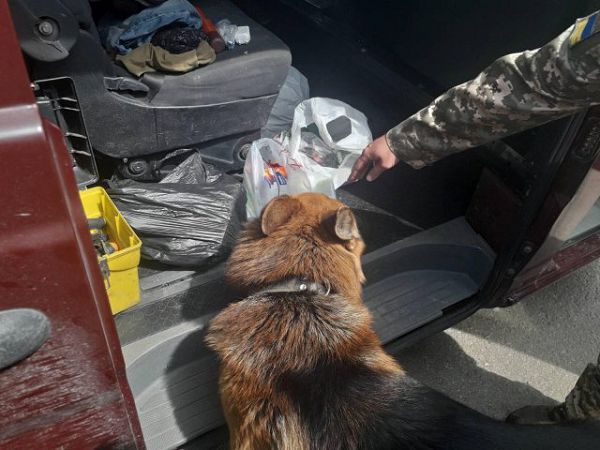 В КПВВ «Чаплынка» пограничники помешали незаконному перемещению медикаментов через админграницу