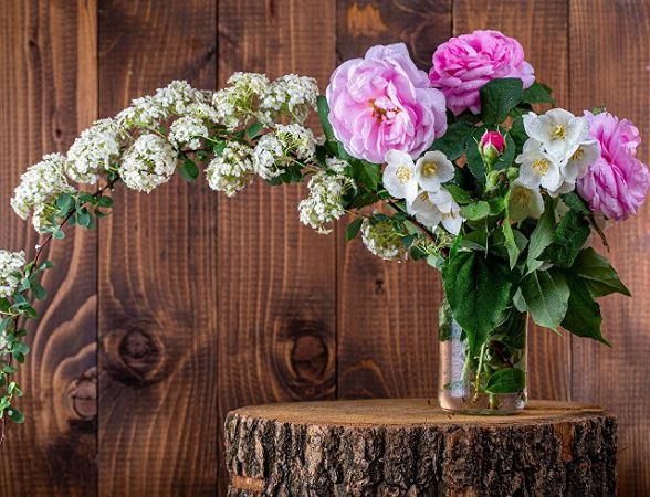 6 мая: какой праздник, приметы, именинники дня и что нельзя делать