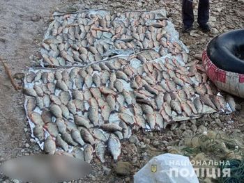 Карасі обійдуться браконьєру в 5 тисяч гривень