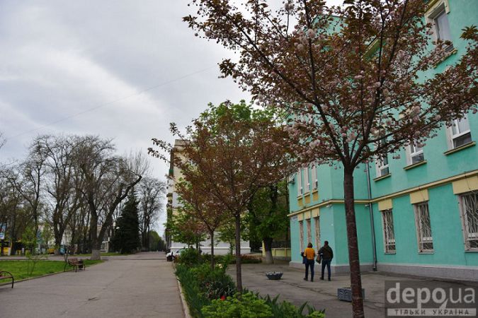Херсон цветущие сакуры