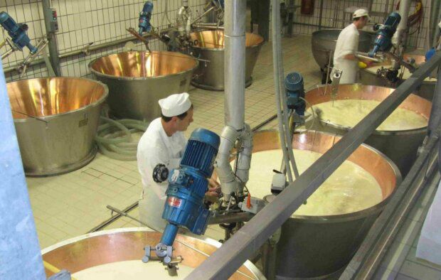Не маргарин, а масло: украинцам показали, как отличить настоящий продукт от фальсификата