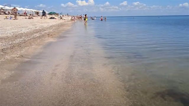 Есть ли медузы в море на Арабатке?