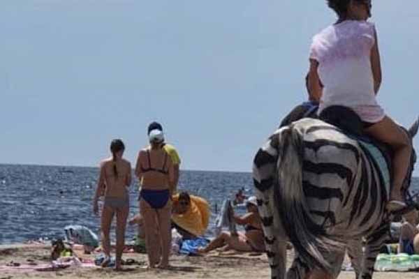 Издеваются над животными пляжные фотографы на Херсонщине