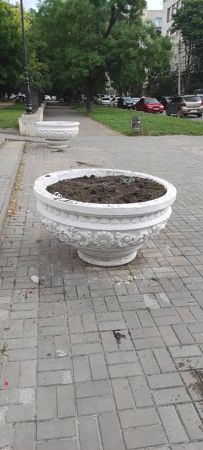В Потьомкінському парку вандали знищили висаджені квіти