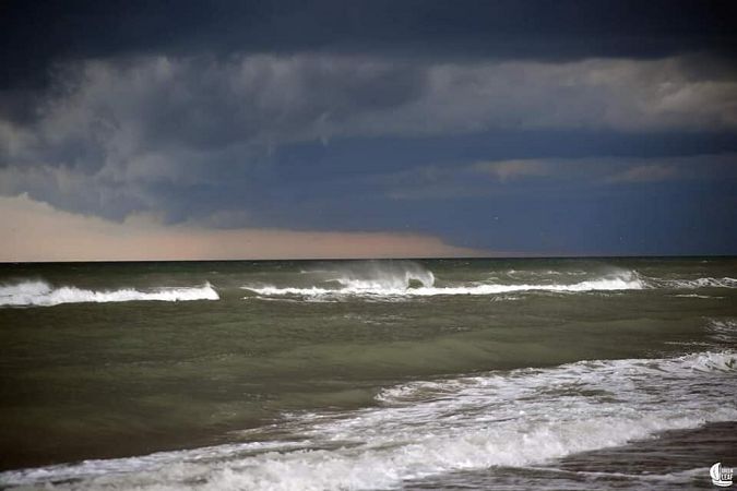 В Одессе море стало зеленого цвета.