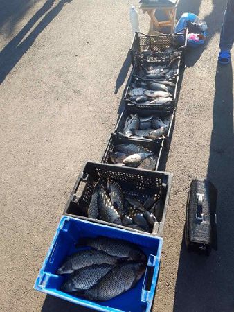 Протягом доби працівники рибоохоронного патруля конфіскували понад 90 кг риби Протягом доби працівники рибоохоронного патруля конфіскували понад 90 кг риби