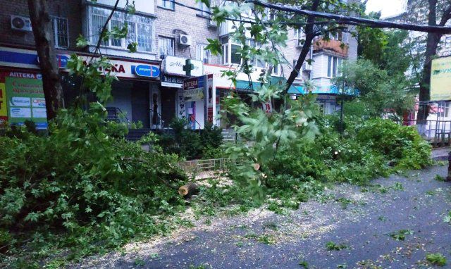 В Херсоне дерево упало на проезжую часть