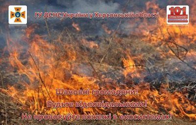 У курортному селищі на Херсонщині палав сухостій