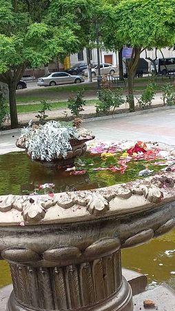 В Потьомкінському парку вандали знищили висаджені квіти