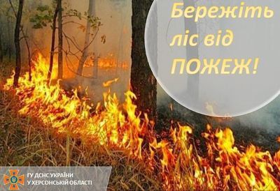 З початку року в екосистемах Херсонщини вже  зафіксовано 167 пожеж