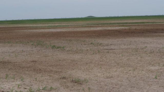 розорані поля