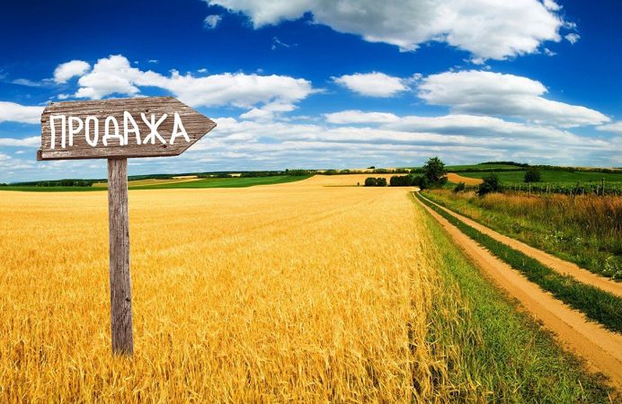 Рынок земли откроется не для всех: какие участки не разрешат продавать