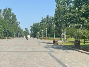 Журналісти перевірили роботу КП «Парки Херсона»
