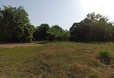 Покіс та прибирання трави – до Ігора Колихаєва звернулися жителі приміського селища
