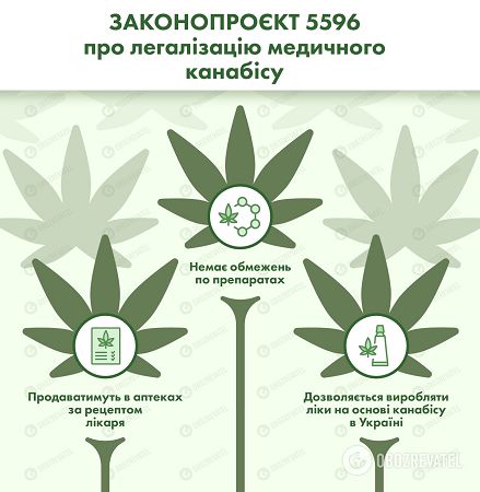 В Раде будут рассматривать законопроект о легализации медицинского каннабиса.