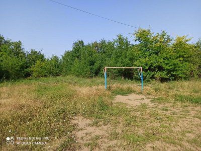 Покіс та прибирання трави – до Ігора Колихаєва звернулися жителі приміського селища