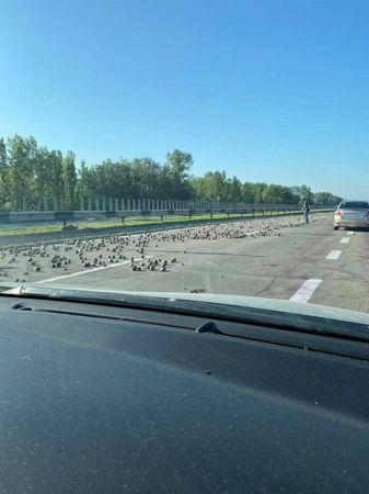 На въезде в Херсон произошло ДТП  (фото)