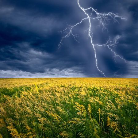 В Украине на завтра объявили штормовое предупреждение