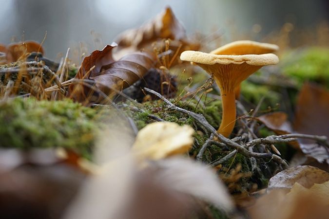 праздник сегодня 1 июля