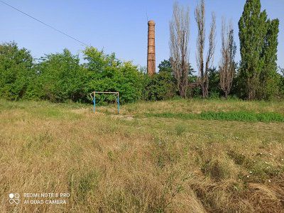Покіс та прибирання трави – до Ігора Колихаєва звернулися жителі приміського селища