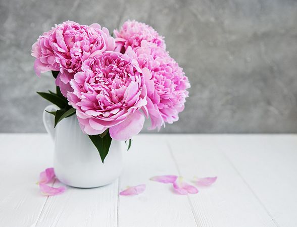 именины 24 июня