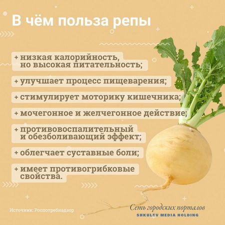 Самые полезные овощи: диетологи рассказали, что можно есть, не опасаясь