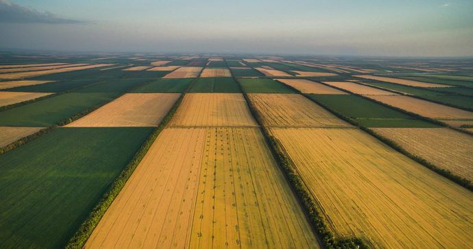 Рынок земли: кому из украинцев дается первоочередное право на выкуп арендованных участков