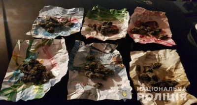 Двоє мешканців Херсонщини вирощували на городі заборонені нарковмісні рослини