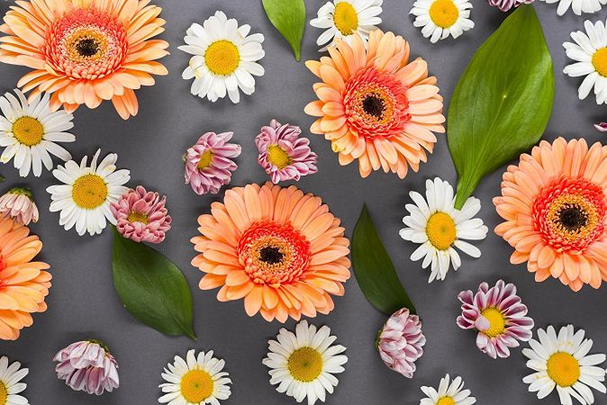 именины 30 июля