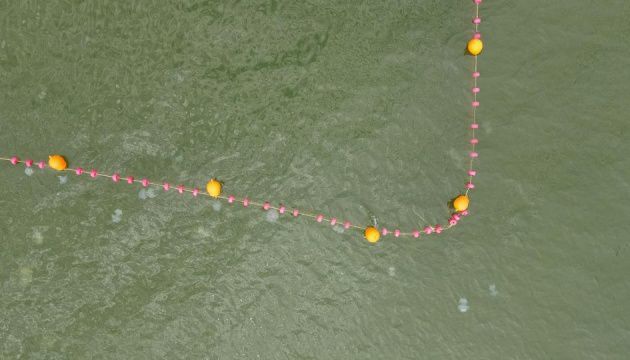 Ученый объяснил, почему Азовское море заполонили медузы