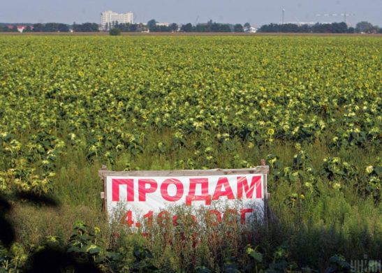 Рынок земли: государство обещает помочь мелким и средним фермерам купить земельные участки