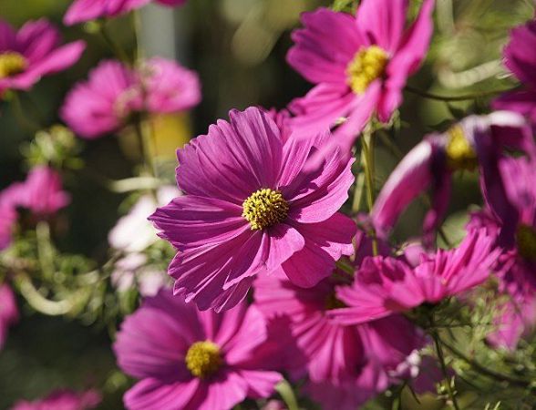 1 августа: какой праздник, приметы, именинники дня и что нельзя делать