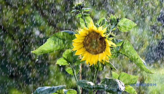 В Украине после изнурительной духоты прогнозируют короткое похолодание